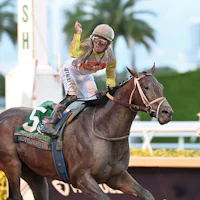 Skippylongstocking wins the Pegasus World Cup at Gulfstream Park.