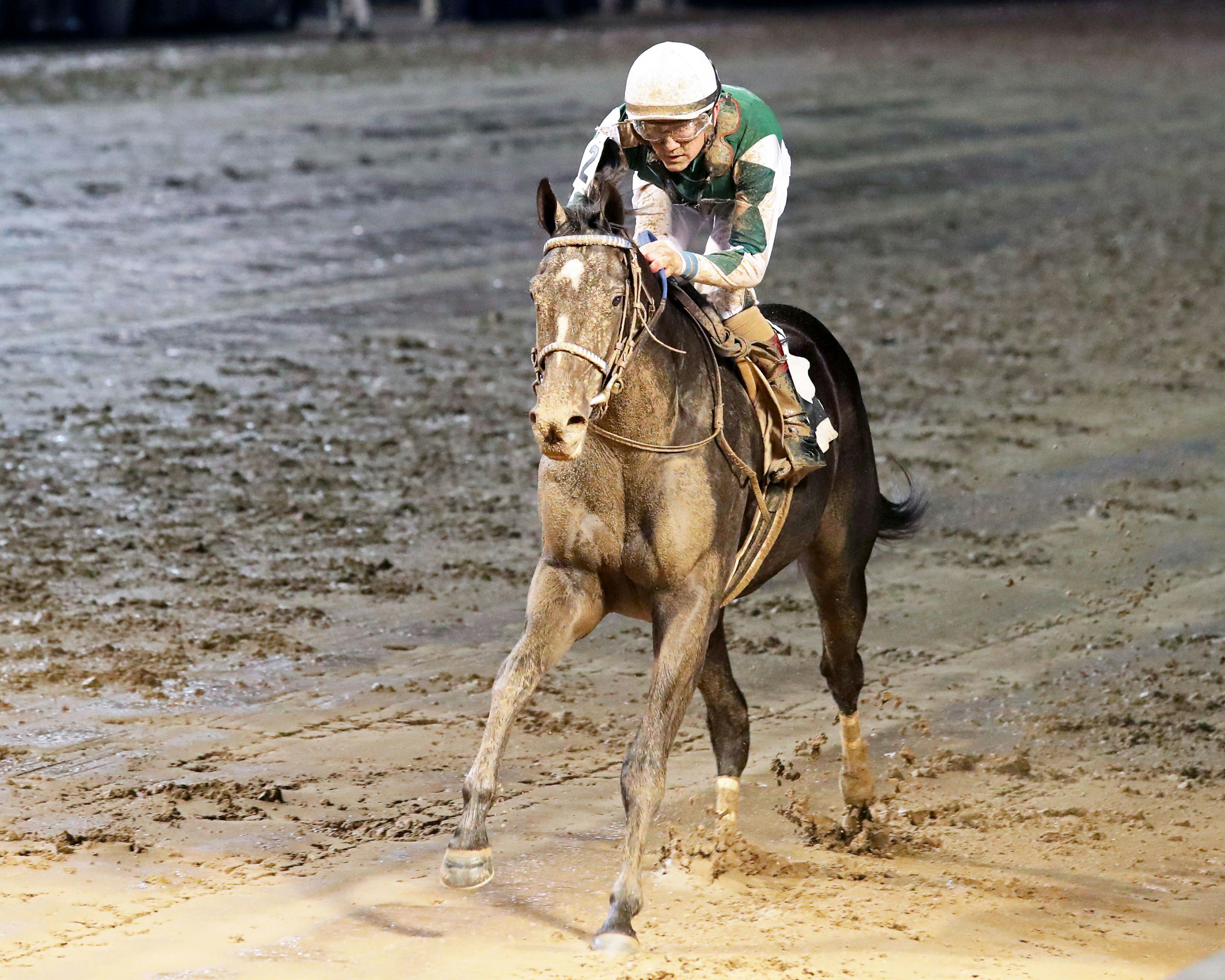 Sleepingonfreedom wins at Churchill Downs. 