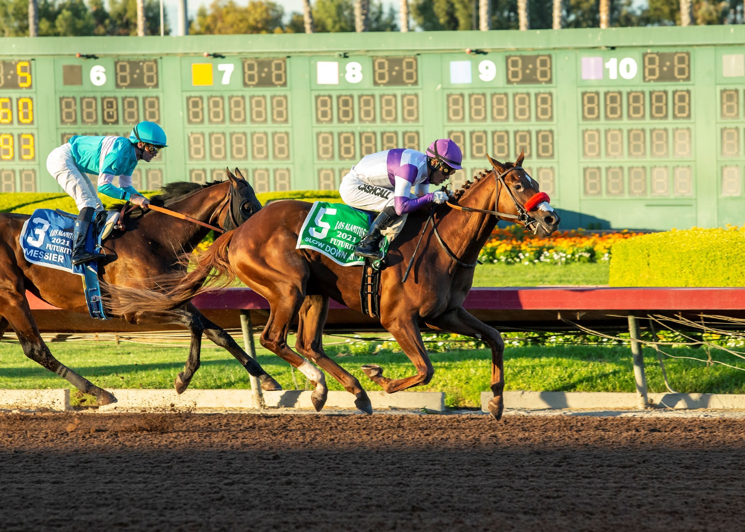 How To Bet The 2022 Los Alamitos Derby | TwinSpires