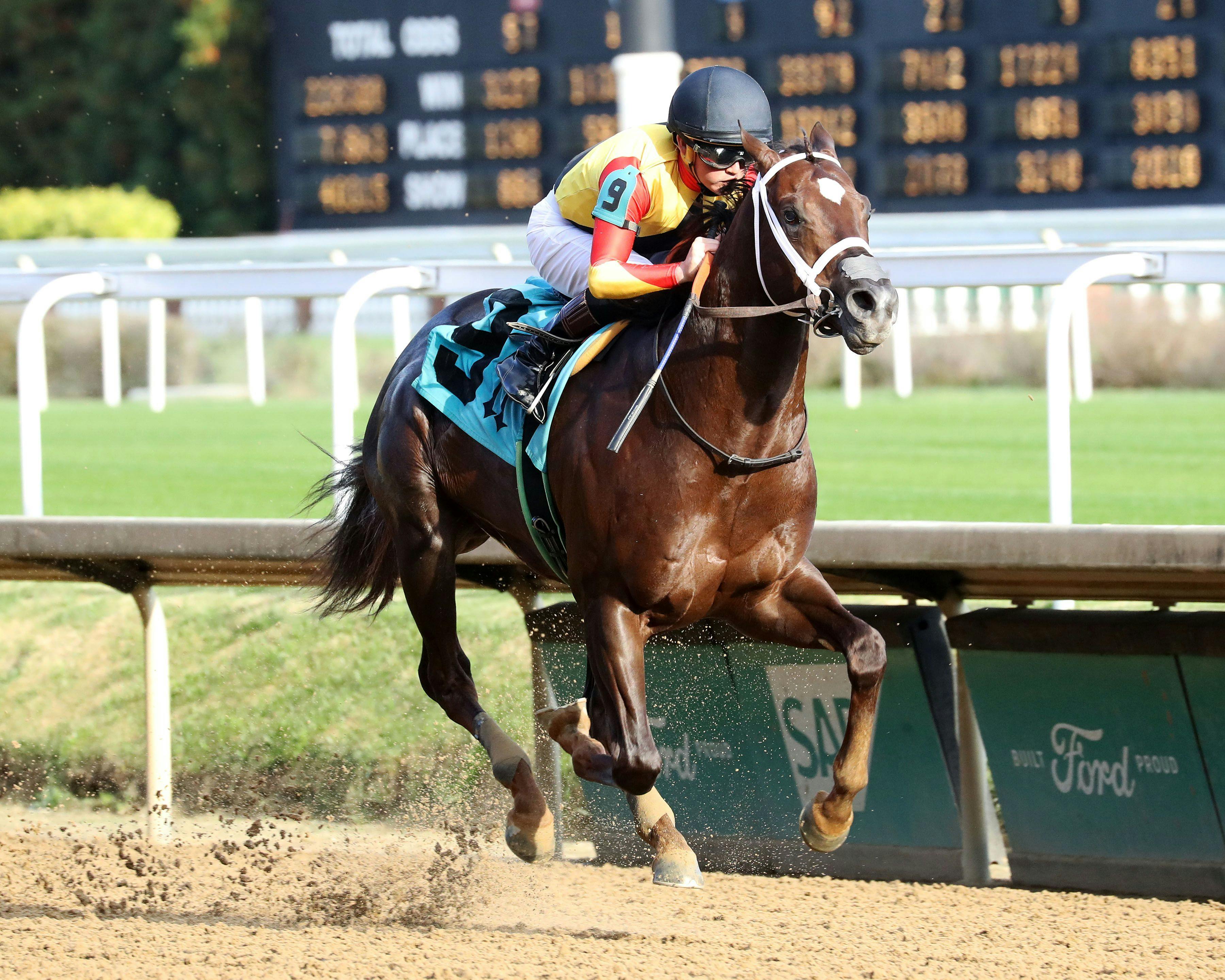 Smoken Wicked wins at Churchill Downs. (Photo by Coady Media/Churchill Downs)