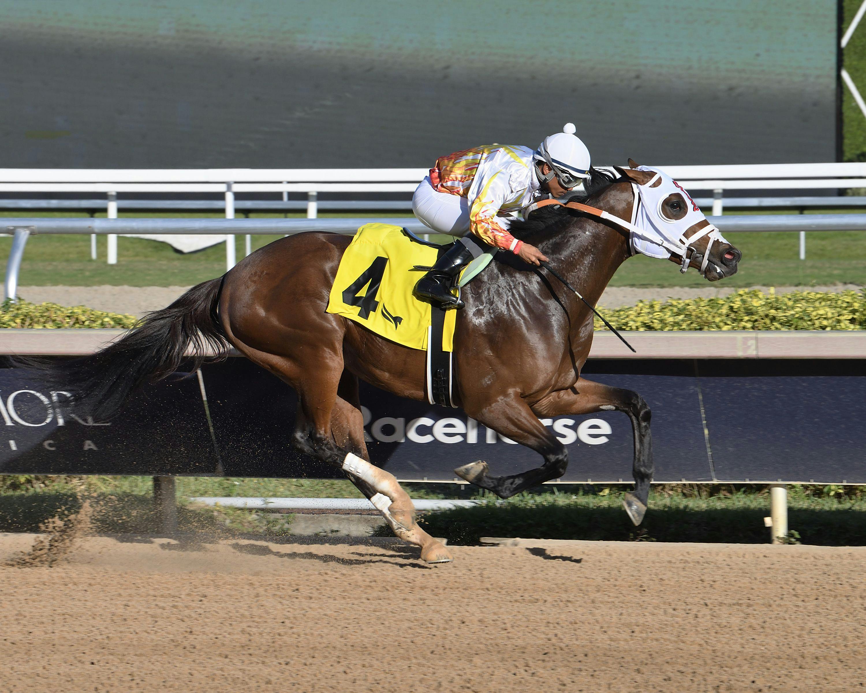 Solid Left wins at Aqueduct. 