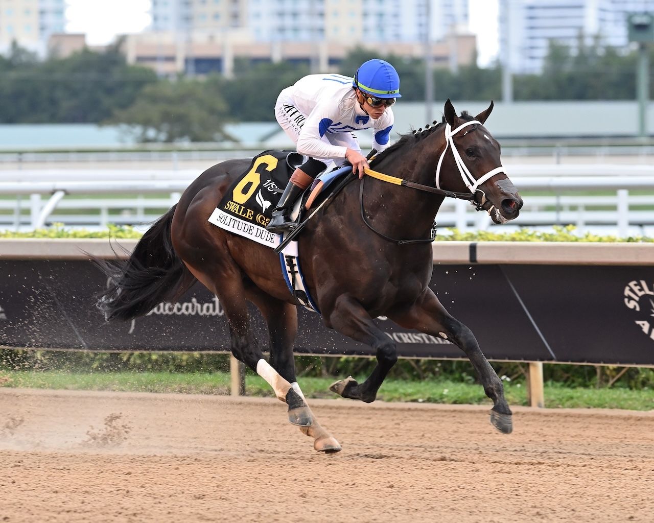 Solitude Dude wins the Swale Stakes at Gulfstream Park. 