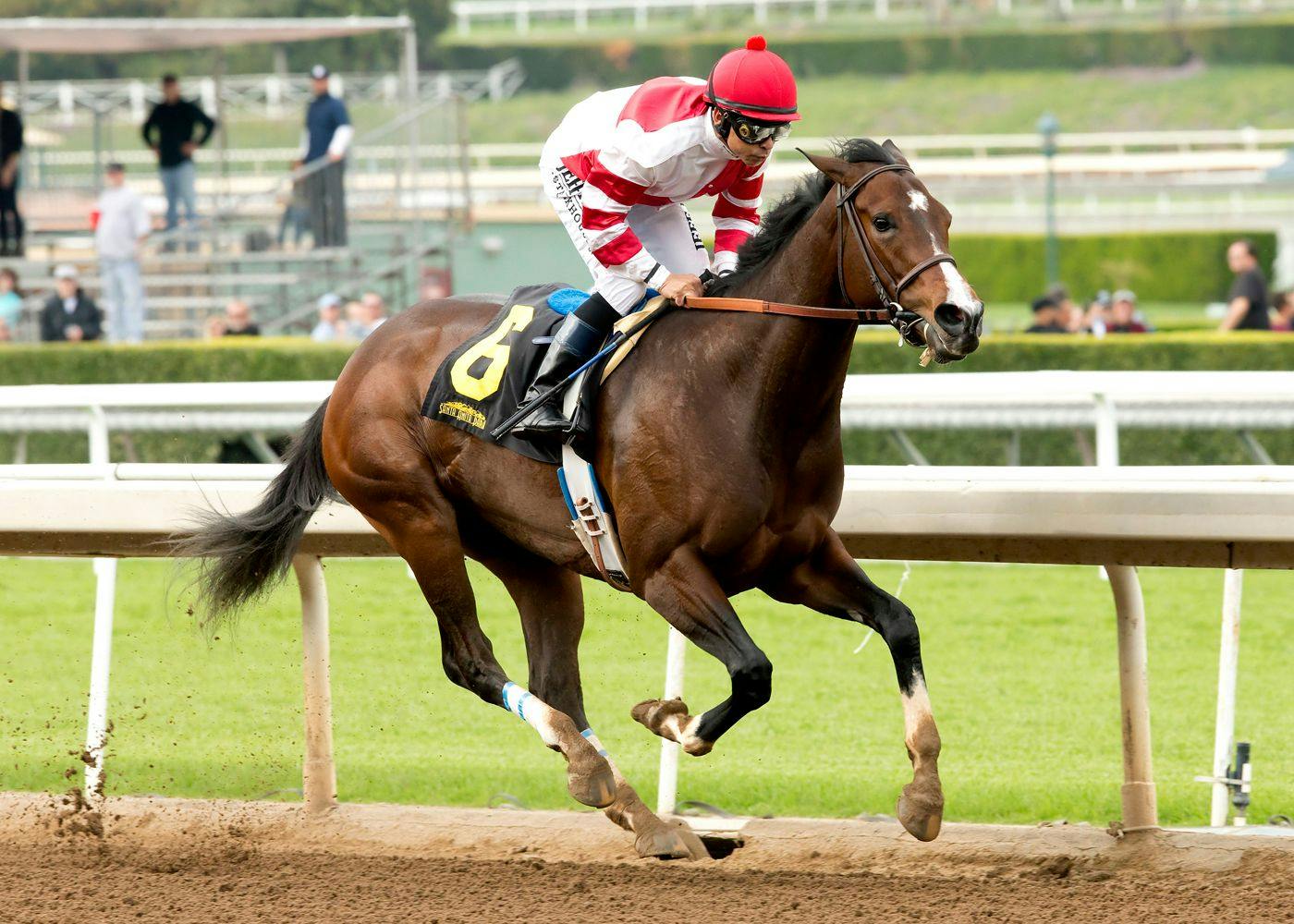 Songbird (Photo by Benoit Photo)