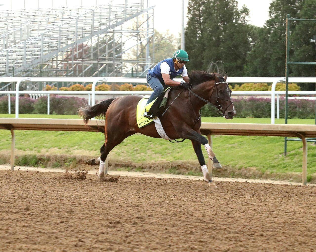 Sovereignty during a workout at Churchill Downs
