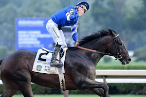 Sovereignty wins the 2025 Belmont Stakes at Saratoga.