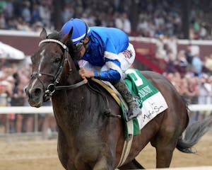 Sovereignty wins the 2025 Jim Dandy at Saratoga. 