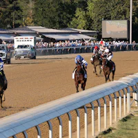 Sovereignty wins the Travers at Saratoga.
