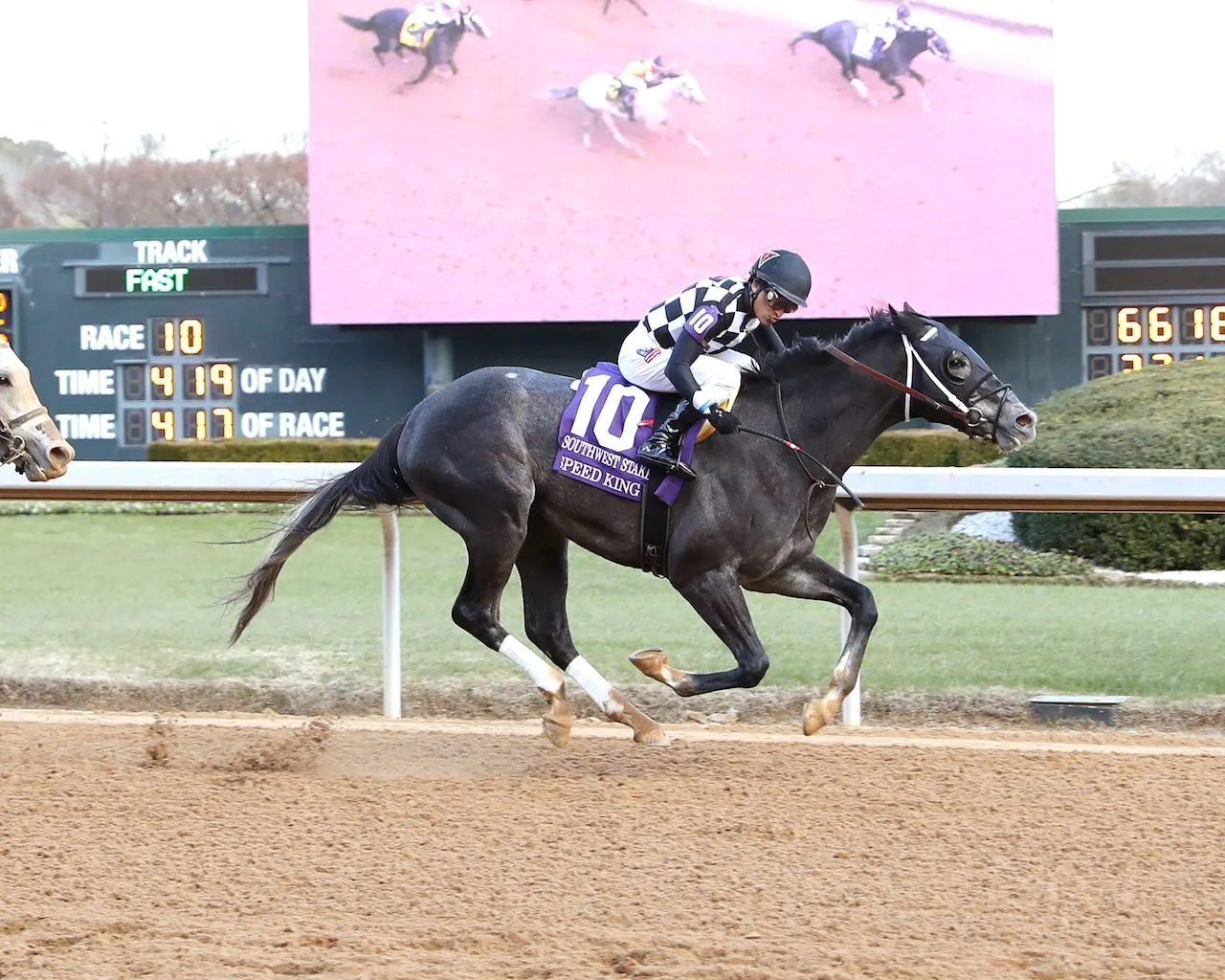 Speedking Racing Kentucky Derby Roundup: Speed King surprises in Southwest | TwinSpires