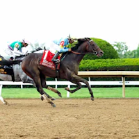Stars and Stripes rallied to win the Ben Ali (G3)