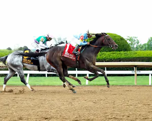 Stars and Stripes rallied to win the Ben Ali (G3)