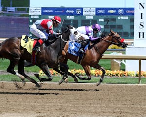 Stay and Scam wins at Horseshoe Indianapolis. 