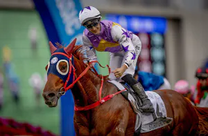 Stormy Grove wins the Hong Kong Classic Cup