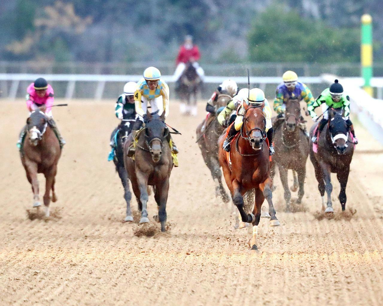 Strategic Risk wins the Smarty Jones at Oaklawn Park.