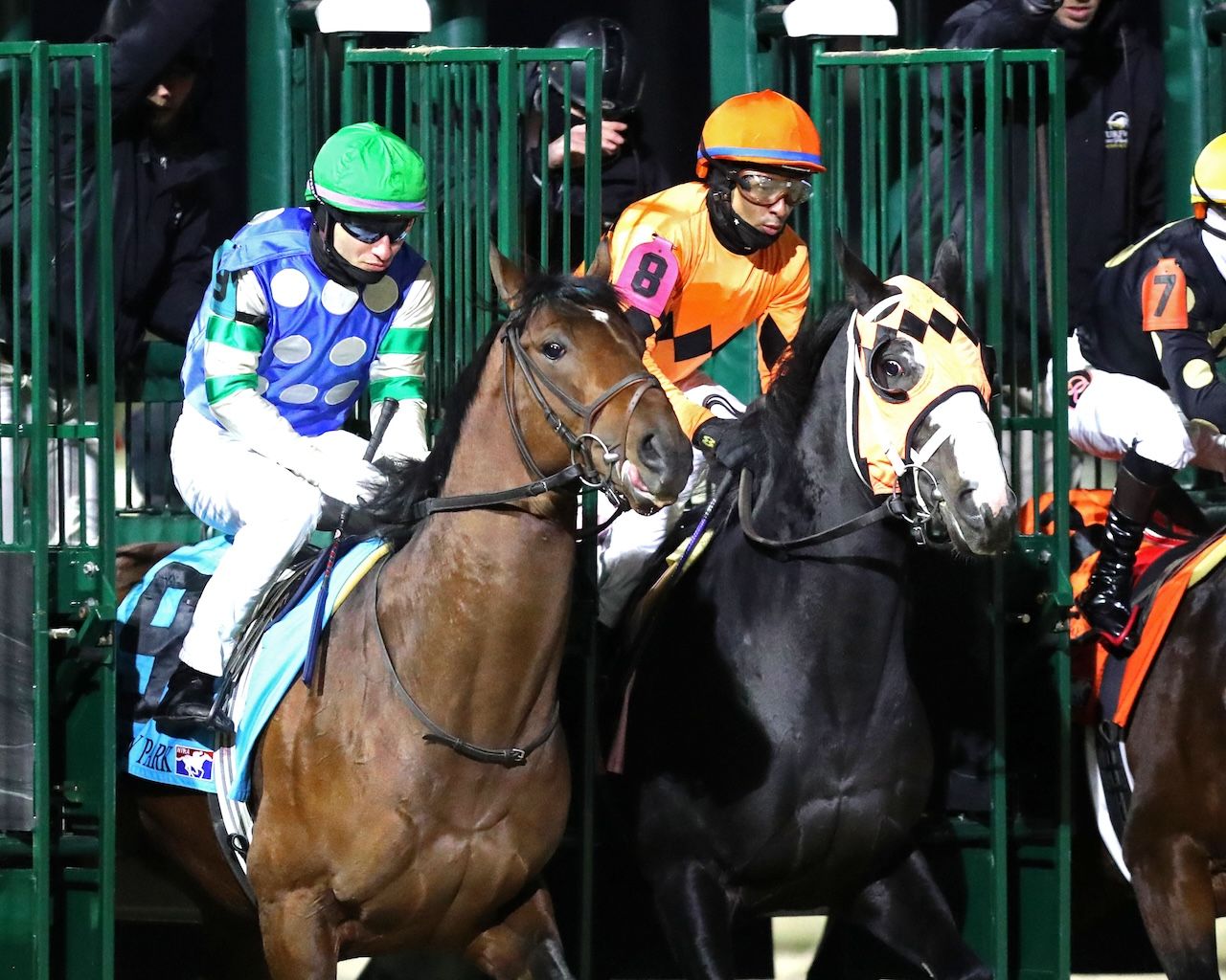 Street Beast wins the Leonautus Stakes at Turfway Park.