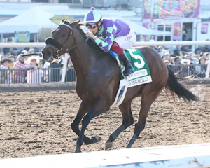 Stronghold winning the Sunland Park Derby (G3) at Sunland Park (Photo by Coady Photography)