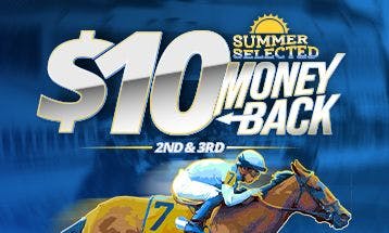 Summer Selected Money Back