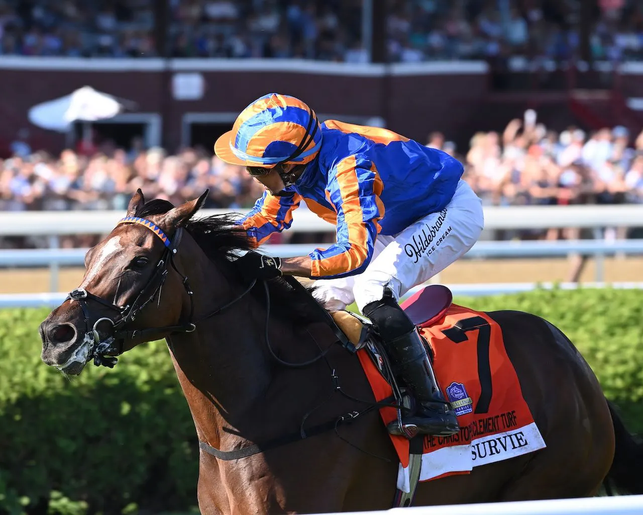 Survie wins the Christophe Clement Turf Stakes at Saratoga