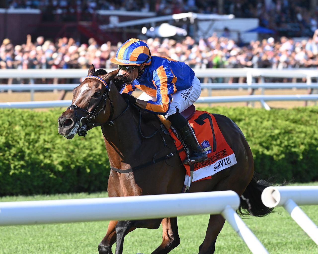 Survie wins the Christophe Clement (G1) at Saratoga.