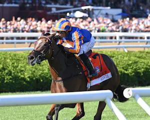 Survie wins the Christophe Clement (G1) at Saratoga.