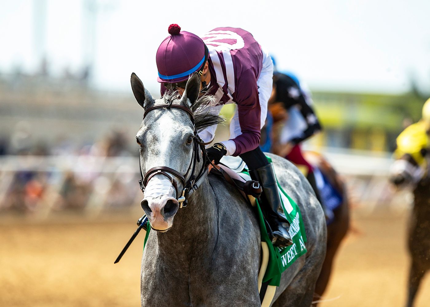 Sweet Azteca successfully defended her title in the Rancho Bernardo H. (G3)