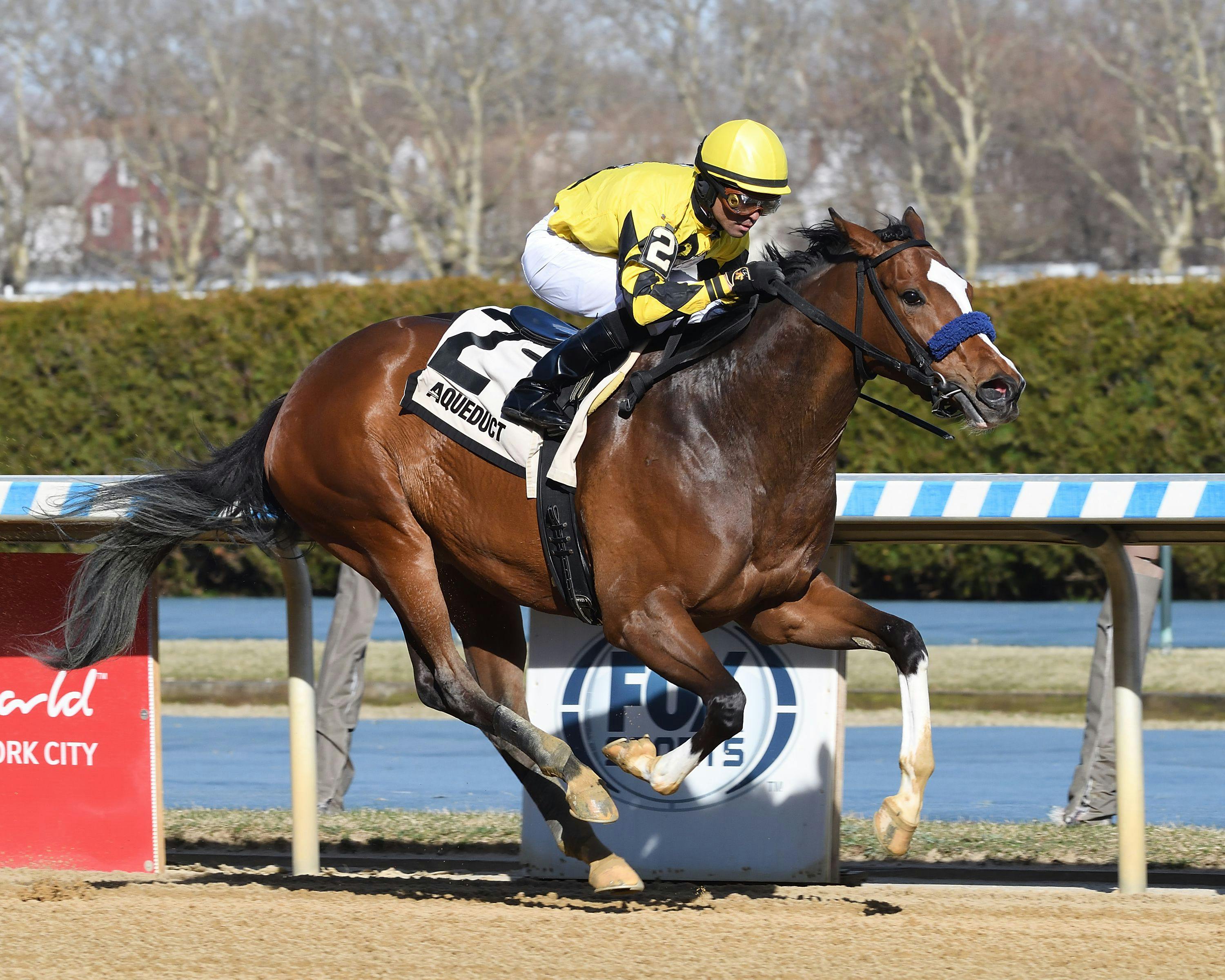 Sweet Brown Sugar winning the East View S. at Aqueduct