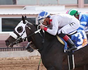 The Smooch wins the New Mexico Breeders' Derby at Sunland Park. 