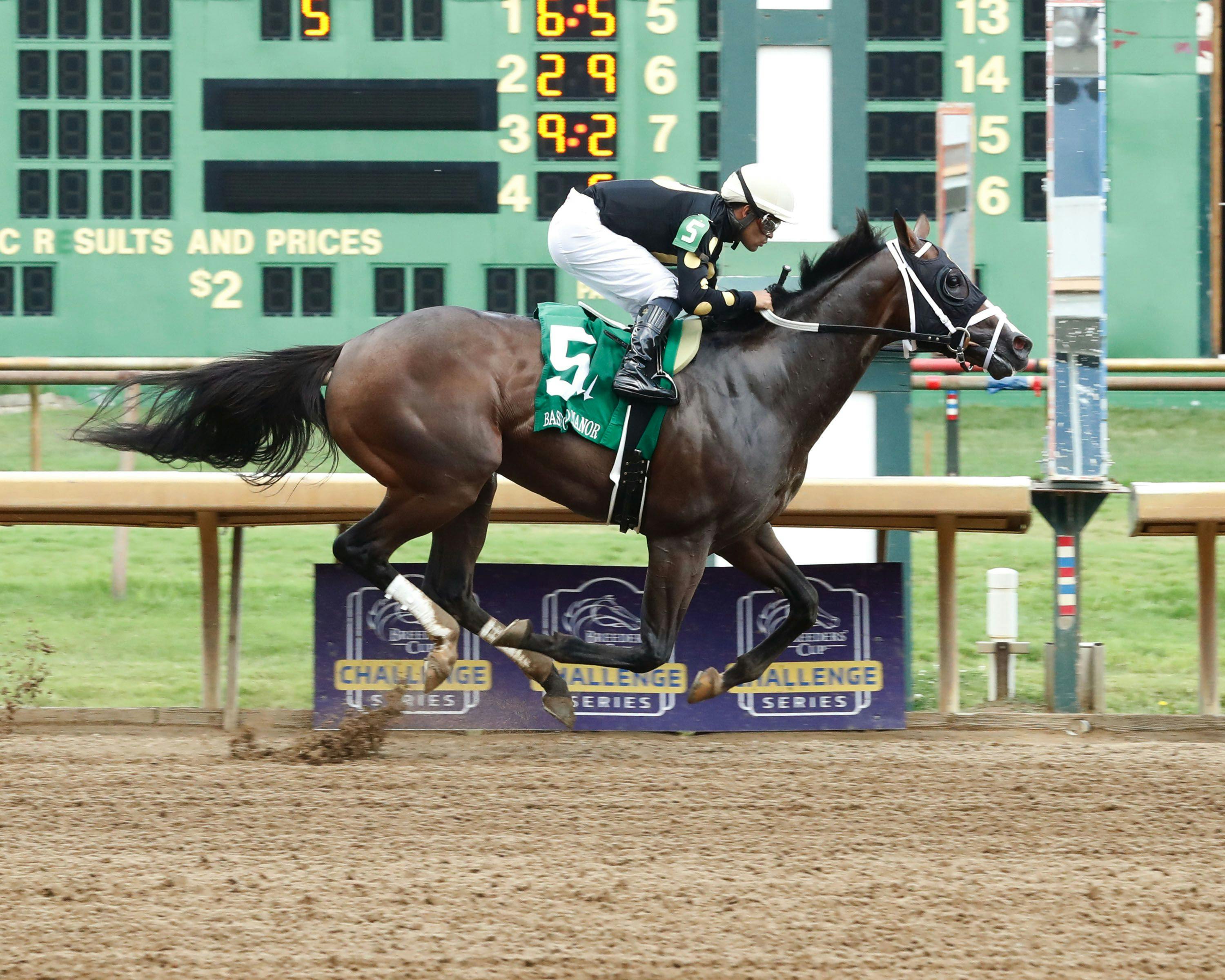 The Wine Steward is one of the top progeny by Vino Rosso in 2023. (Photo by Coady Photography)