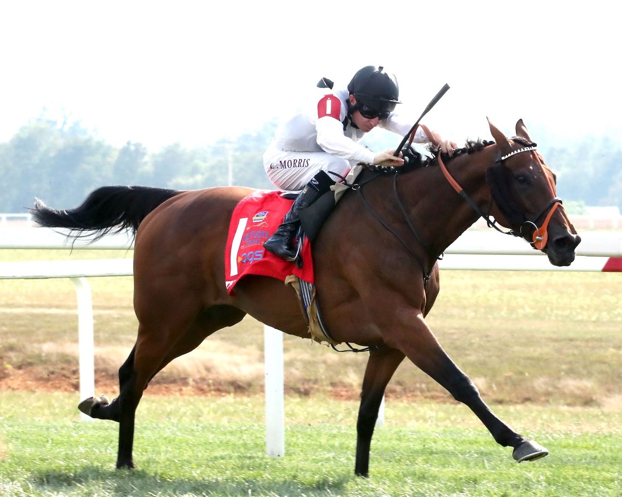 Tiffany wins the Kentucky Turf Cup (G2) at Kentucky Downs. 