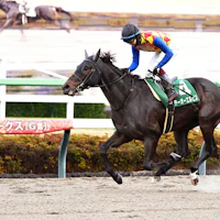 T O Elvis romped in the Capella (G3) at Nakayama