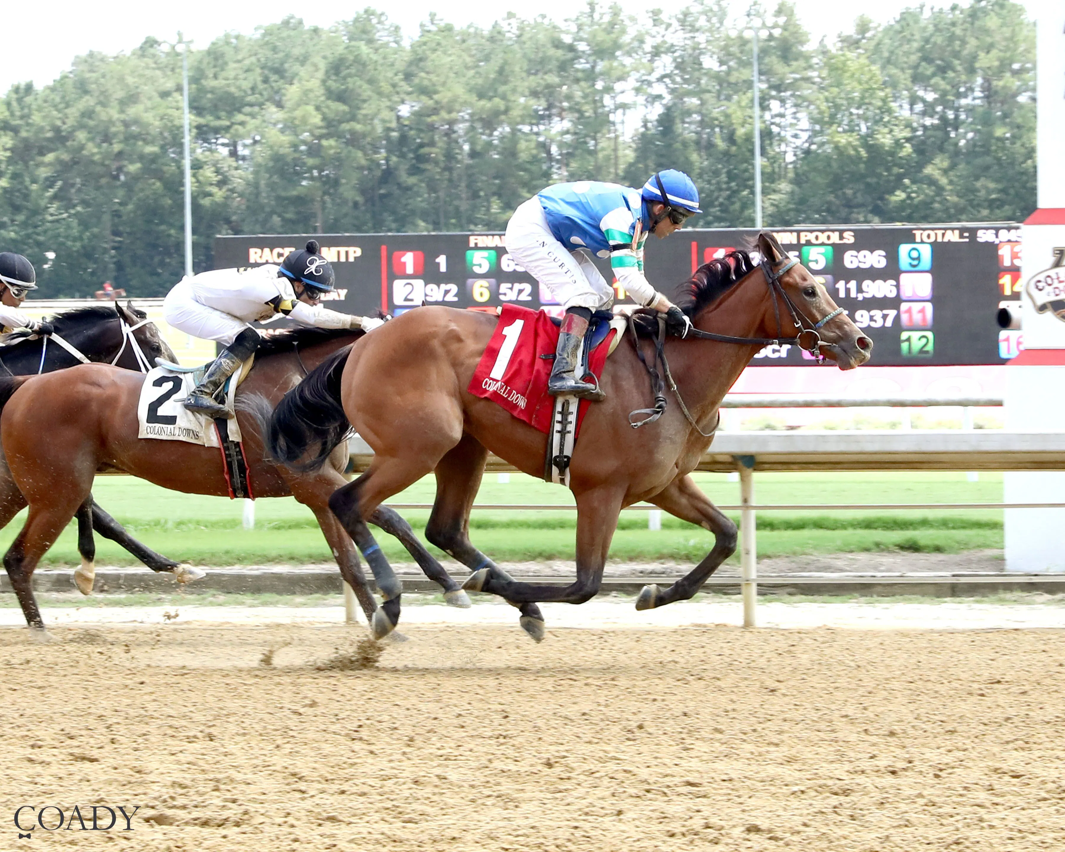 Trendsetter wins the Hickory Tree Stakes at Colonial Downs.