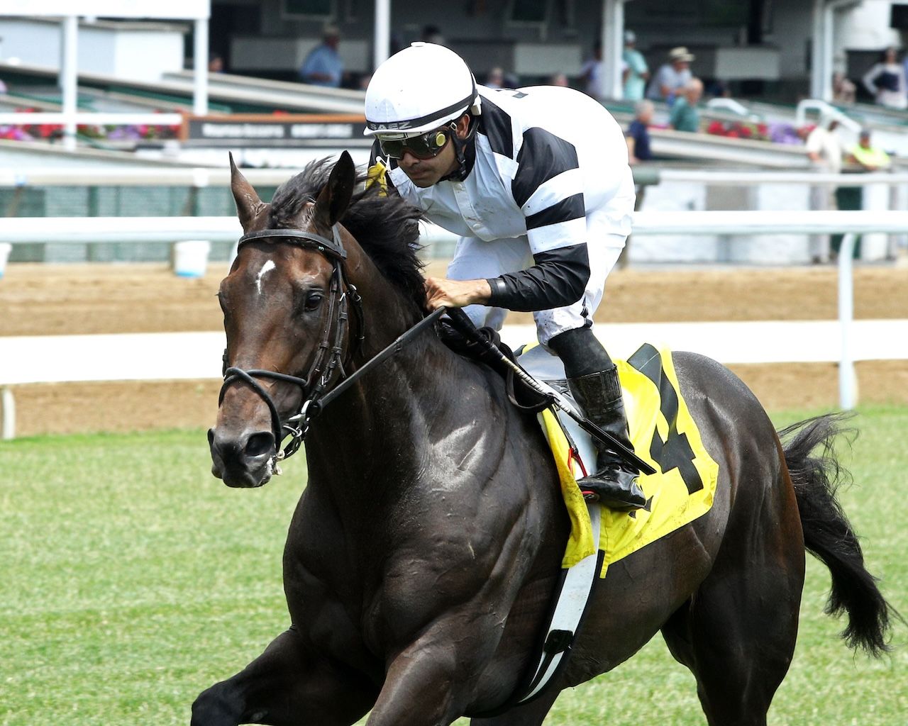 Trouble Calling wins at Churchill Downs. 