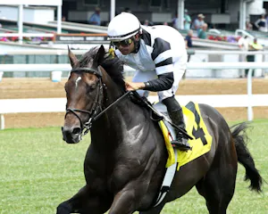 Trouble Calling wins at Churchill Downs.