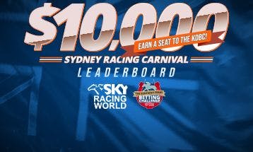 Climb the Ranks: Your Ticket to Winning Big at Betting Leaderboard Events