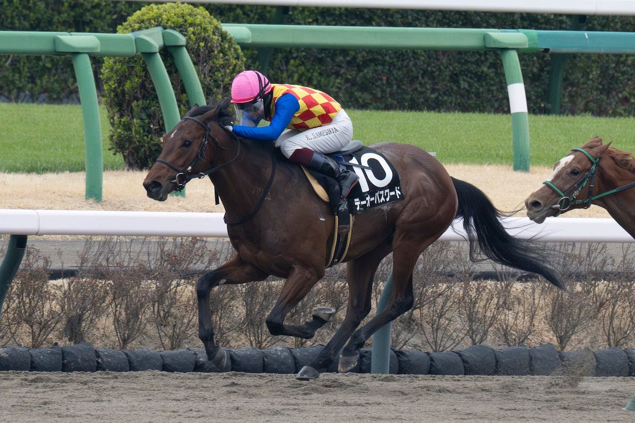 T O Password winning the Fukuryu S. at Nakayama Racecourse (Photo by Tomoya Moriuchi/Horsephotos.com)