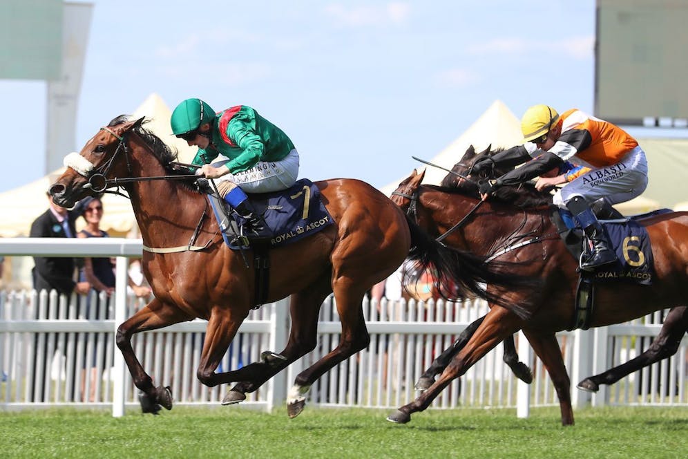 Spot Plays for 2023 British Champions Day TwinSpires