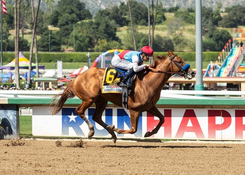 Meet the 2022 Breeders' Cup Classic contenders TwinSpires