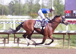 Taj Mahal dominates the Federico Tesio