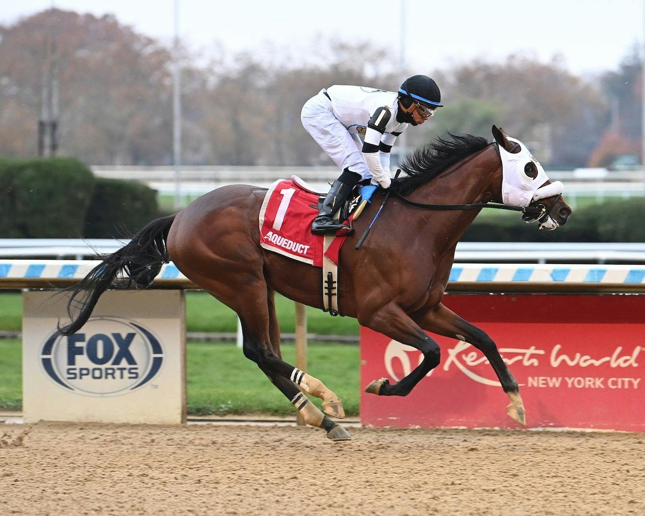 Talk to Me Jimmy wins at Aqueduct.