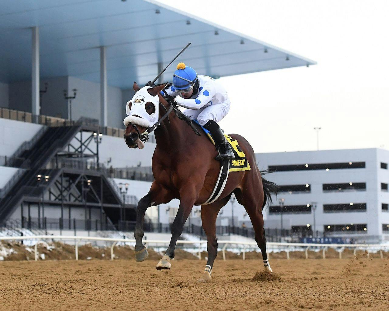 Talk to Me Jimmy wins the Withers Stakes at Aqueduct.