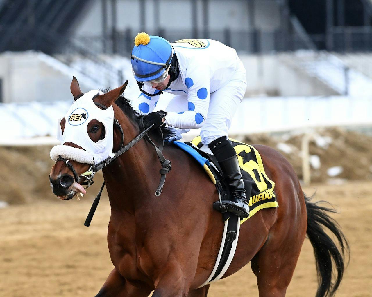 Talk to Me Jimmy wins the Withers Stakes at Aqueduct.