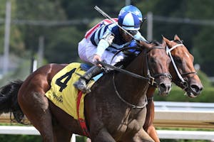 Talkin breaking his maiden at Saratoga.
