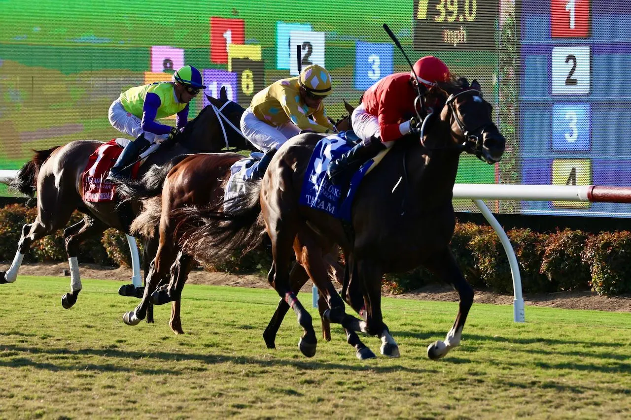 Tam Tam wins the Del Mar Oaks at Del Mar.