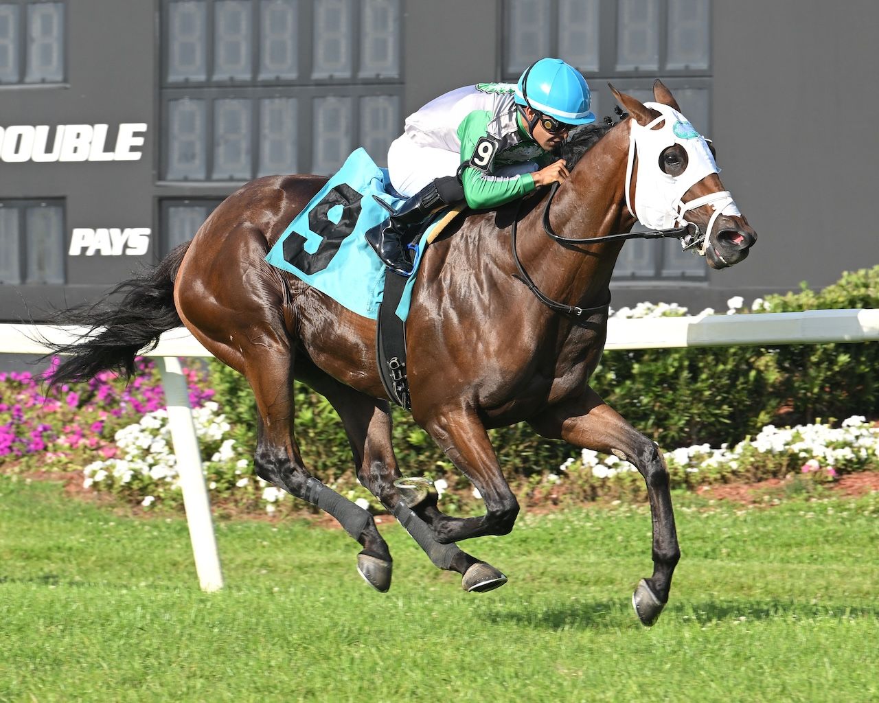 Tank wins the Equistaff Sophmore Turf at Tampa Bay Downs.