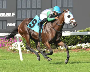 Tank wins the Equistaff Sophmore Turf at Tampa Bay Downs.