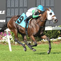 Tank wins the Equistaff Sophmore Turf at Tampa Bay Downs.