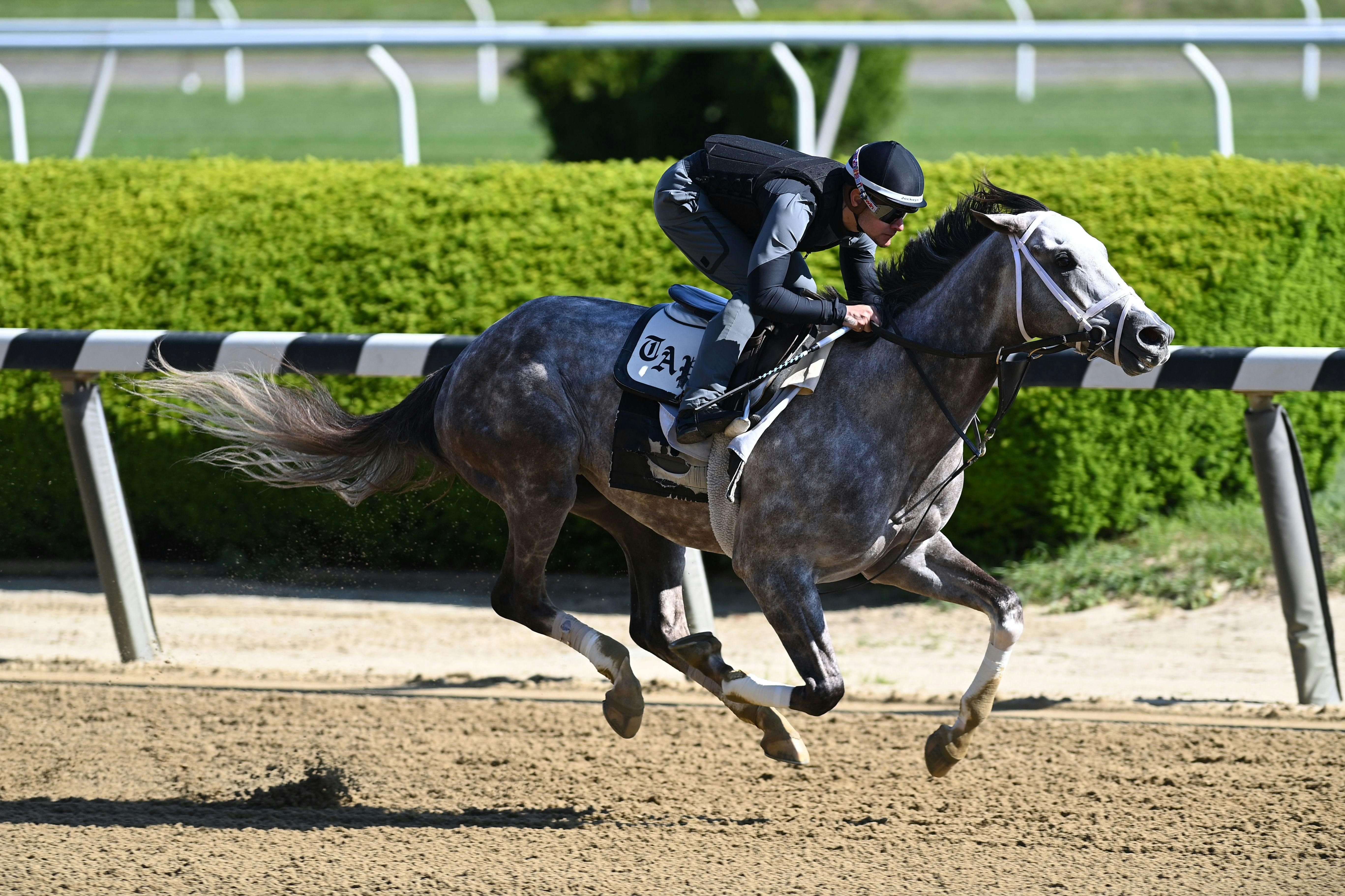 Tipsheet 2023 Belmont Stakes Twinspires 