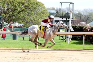 Taptastic winning his debut at Oaklawn Park