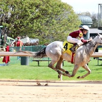 Taptastic winning his debut at Oaklawn Park
