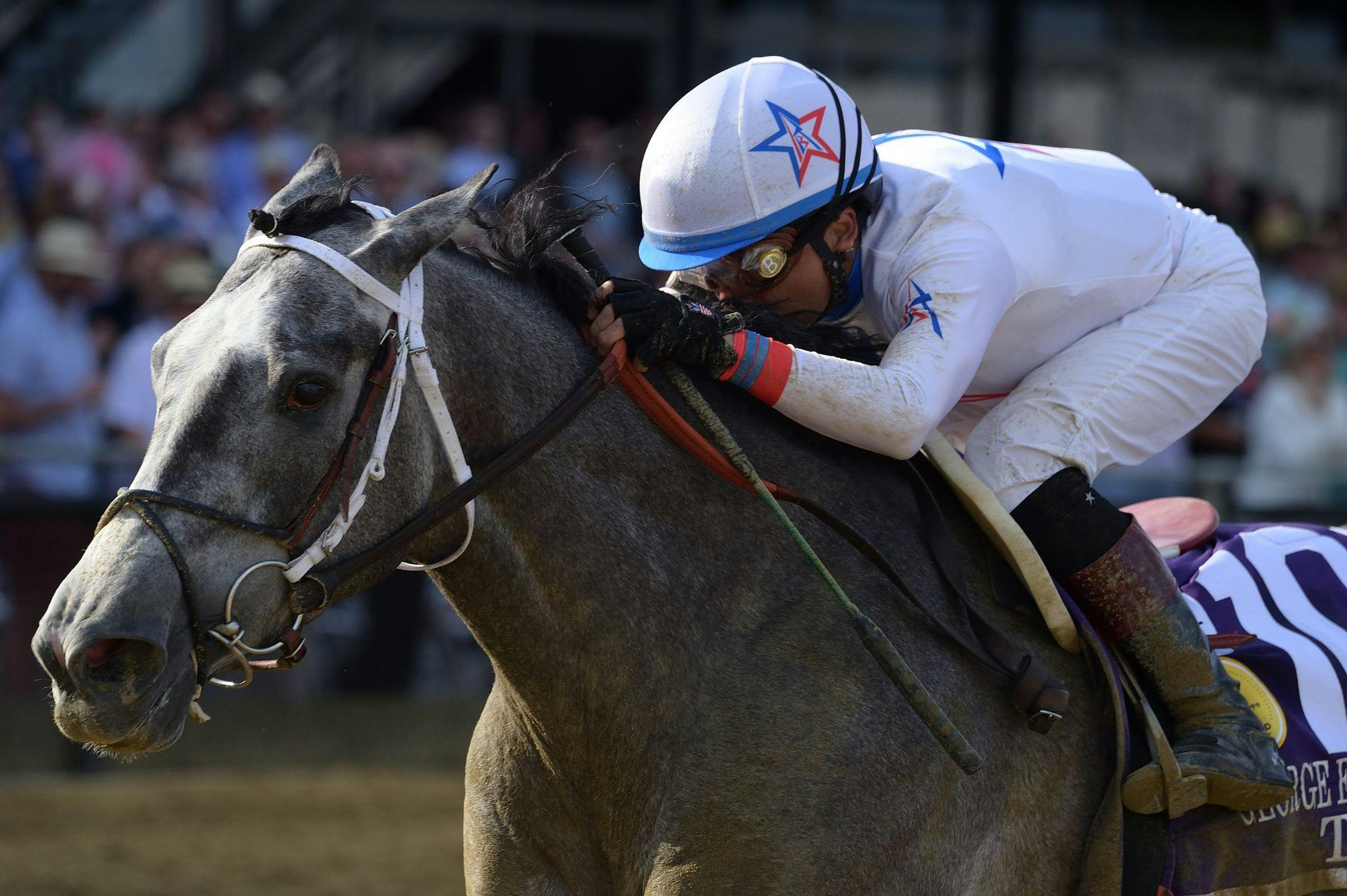 Taxed wins the 2023 Black-Eyed Susan (G2) at Pimlico (Photo by Maryland Jockey Club/Jim Duley)