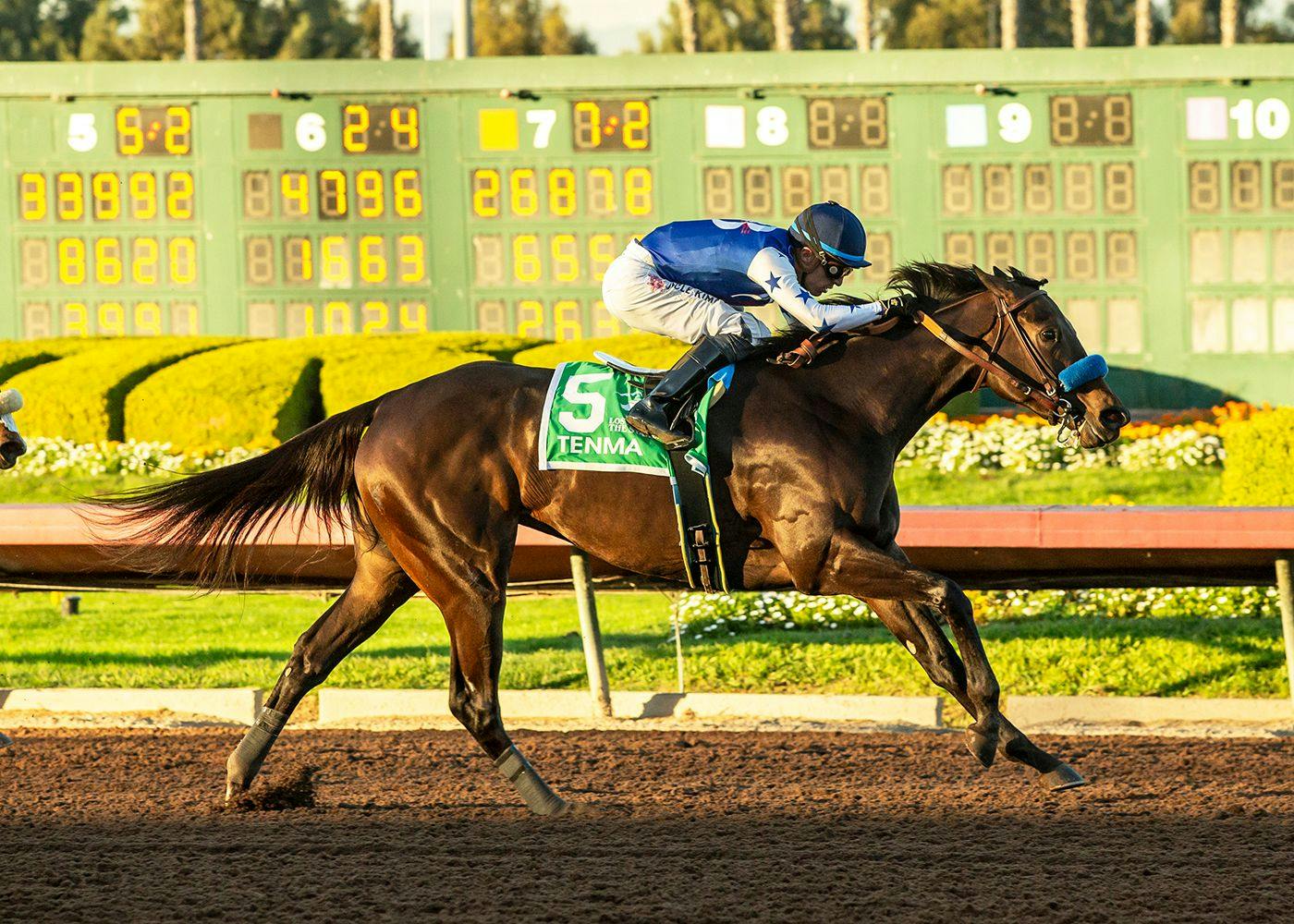 Tenma wins the Starlet (G2) at Los Alamitos.